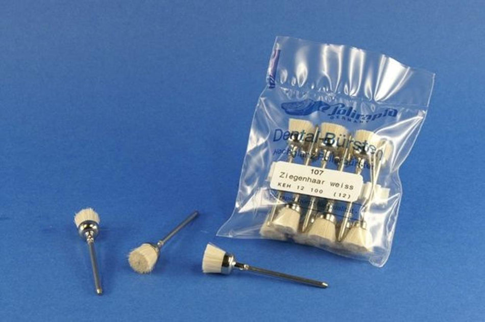 ZR brush cup ZH HD 107/21mm 12 pieces