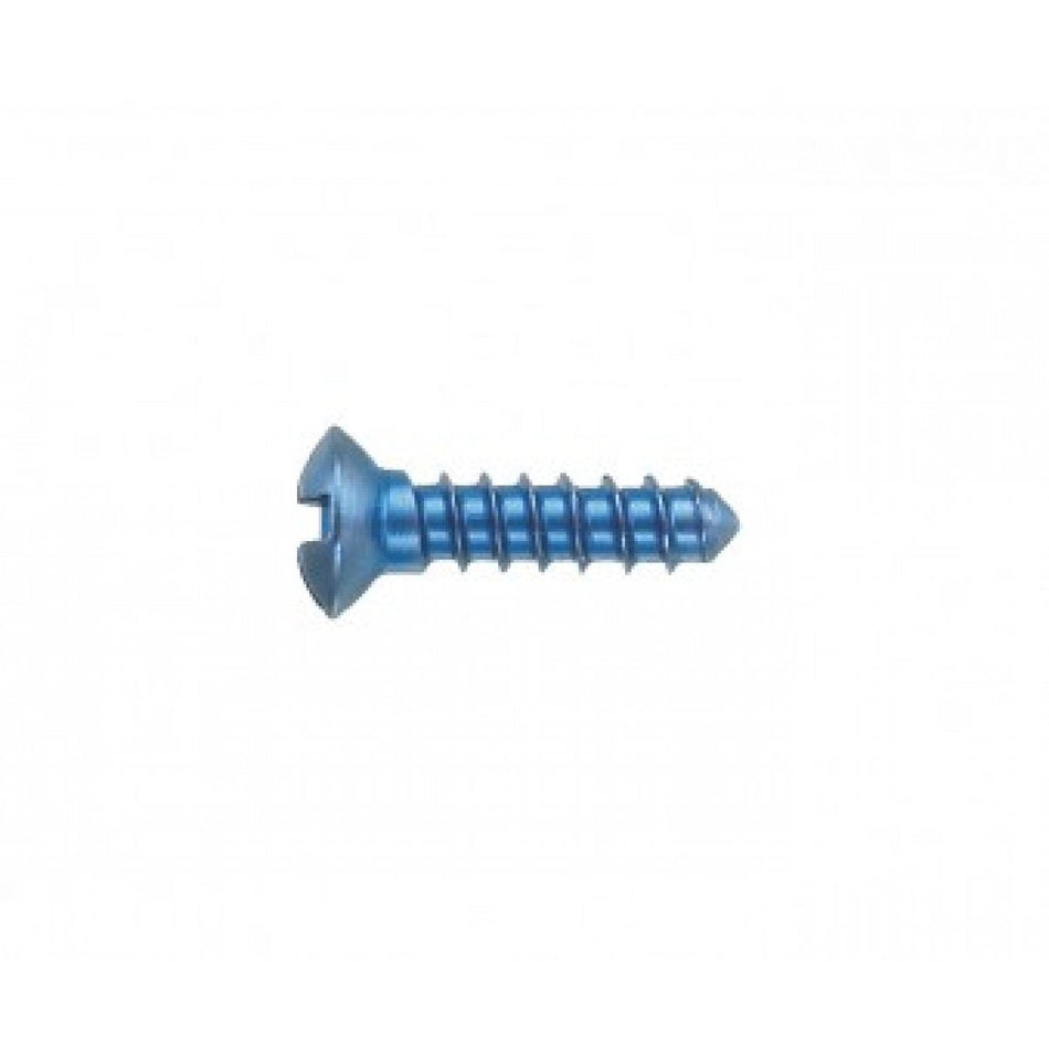 Micro screws, cross, Ø 1, 4mm, 6mm, 10 pcs.