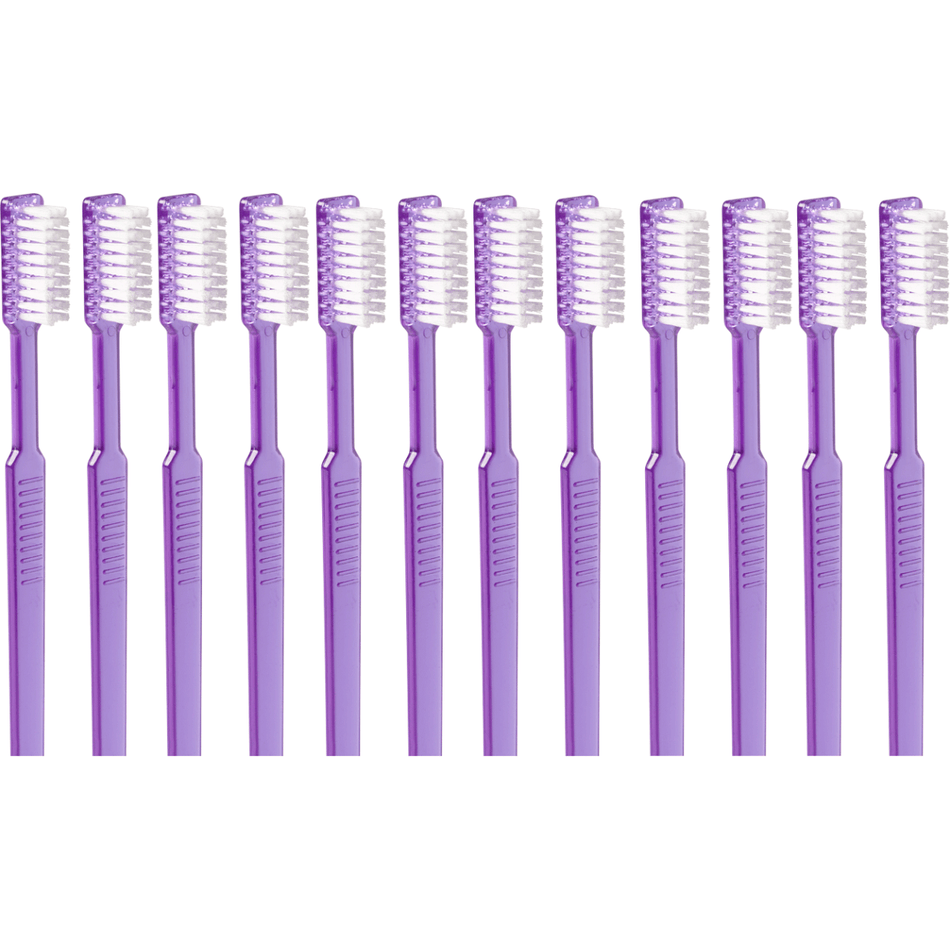 Disposable toothbrushes Color: VIOLET, Ready-to-use disposable toothbrushes with integrated paste, pack of 100