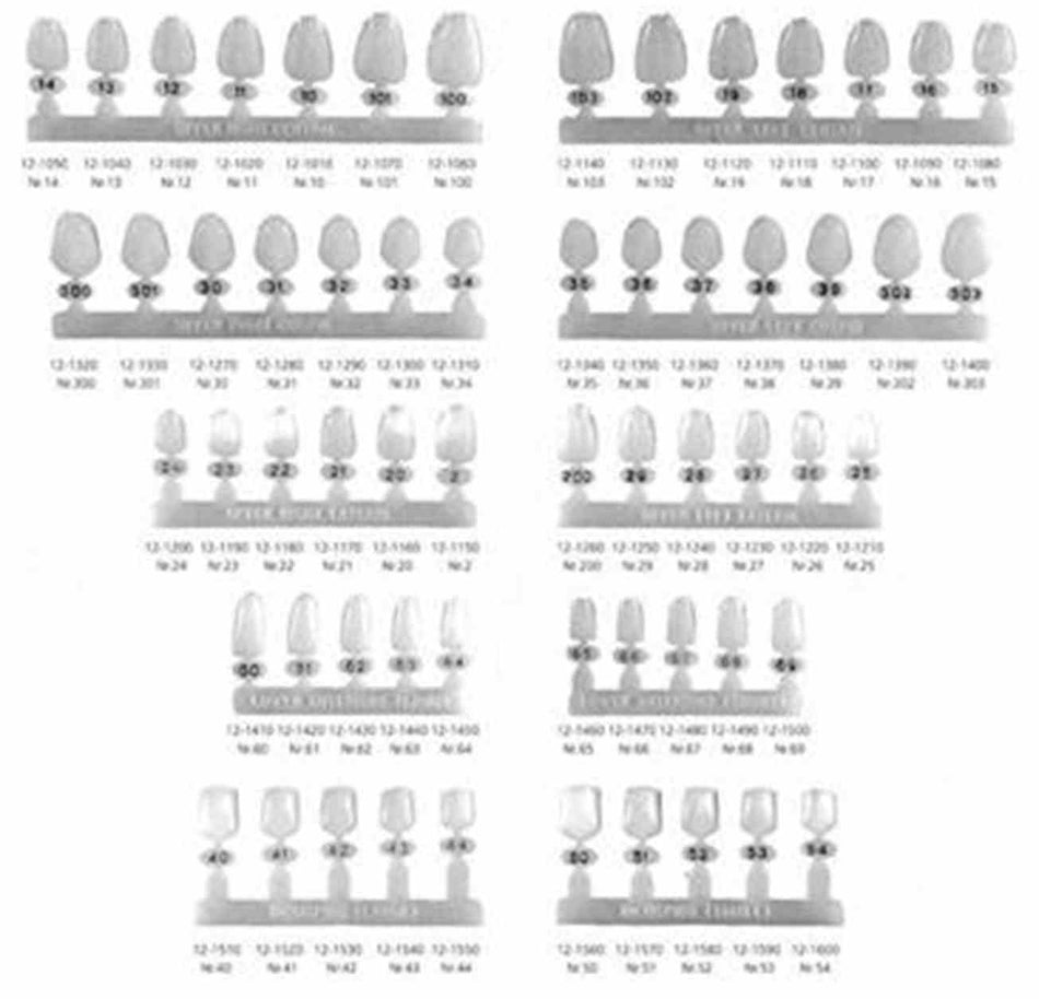 HS crowns, Polycarbonate Crown OK right I, HS crown 12: length 11.0 mm / width 8.0