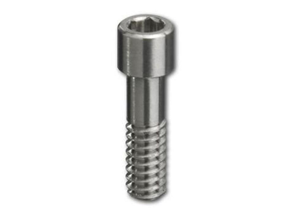 Abutment Screw S BL3.3,4.1 Pa 2