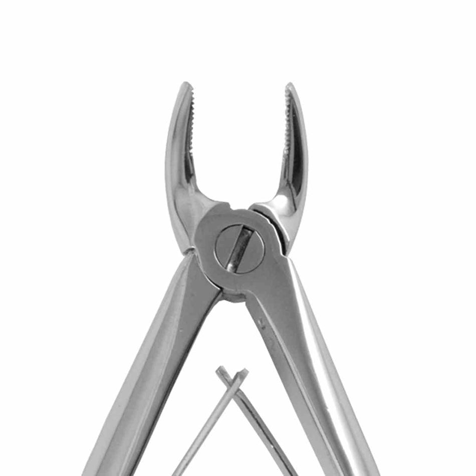 Children's extraction forceps St. 139B anat., OK premo.