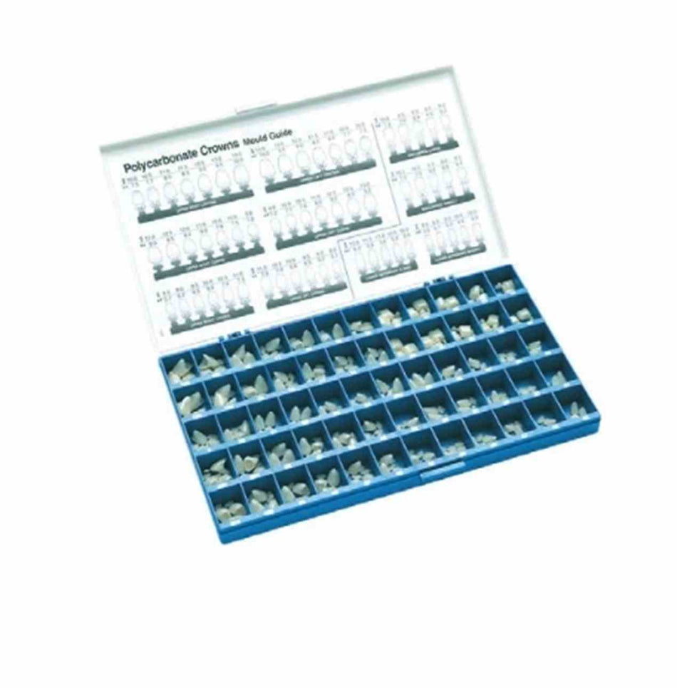 Polycarbonate crowns right canines (UK/OK) No. 300, pack of 5