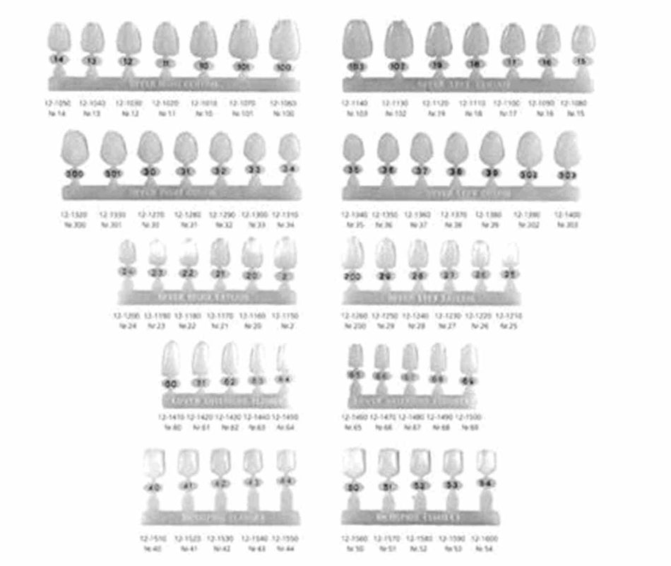 HS crowns, Polycarbonate Crown OK right I, HS crown 301: length 12.5 mm / width 8.5 mm