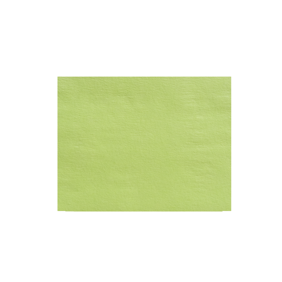 Tray filter paper, coloured, 36 cm x 28 cm - lime, 250 sheets