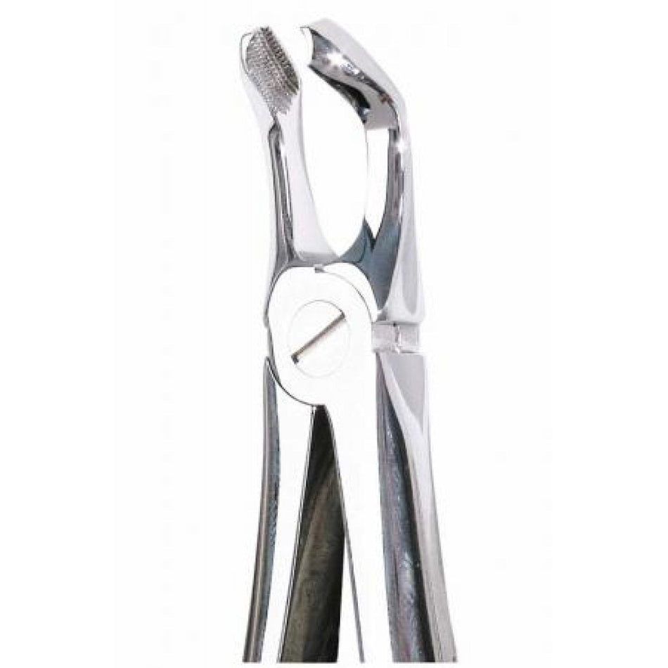 Dental forceps piece UK wisdom tooth 79