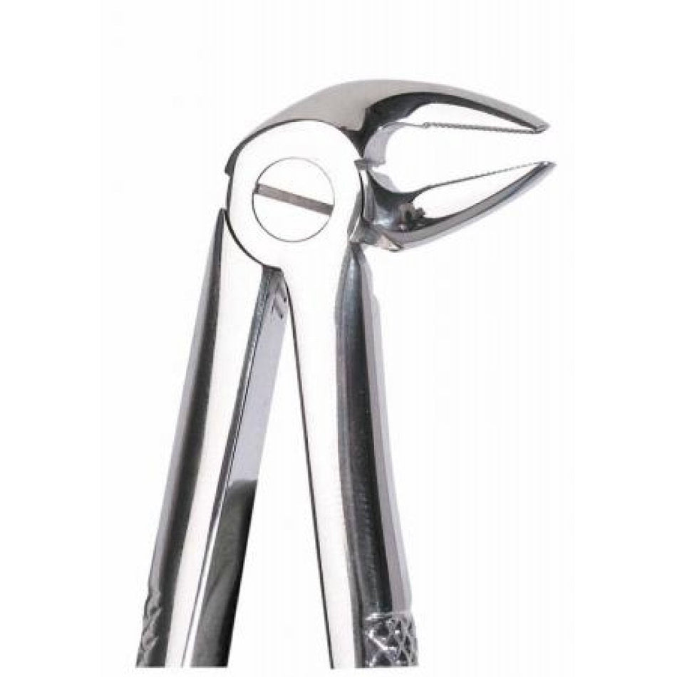 Dental forceps piece UK root 33