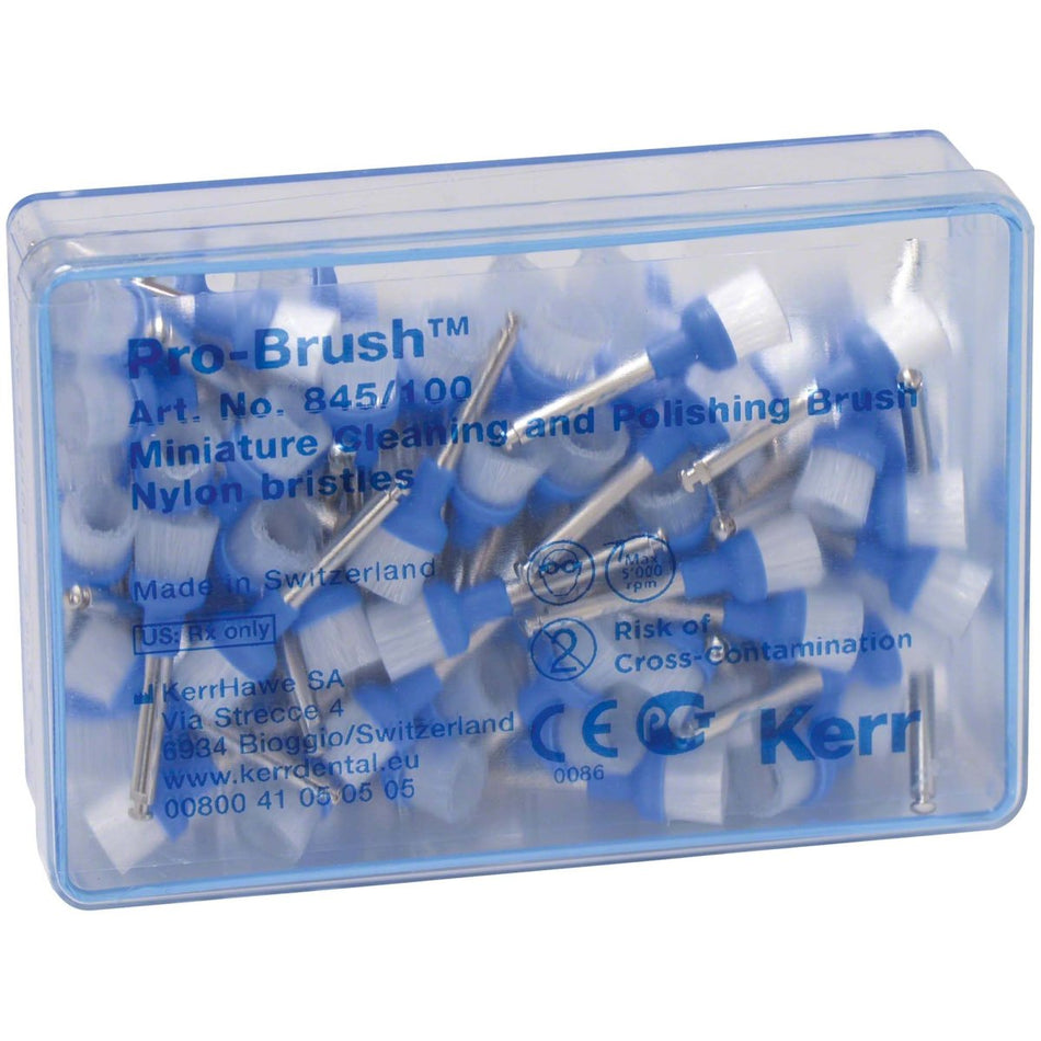 Pro-Brush, nylon brushes, pack of 100