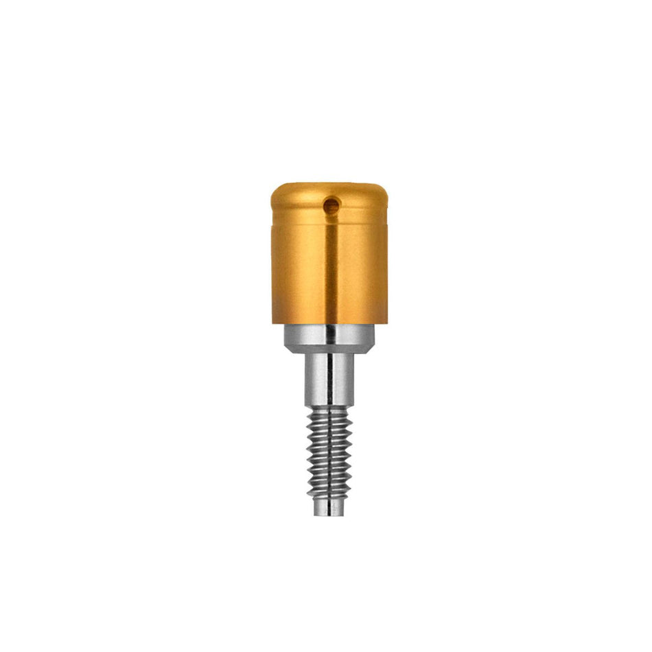 Xive Locator structure D 3.8 / GH 3 (corresponds to 26-3313)