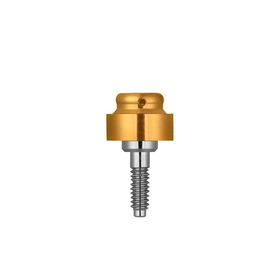 Xive Locator structure D 5.5 / GH 3 (corresponds to 26-3333)