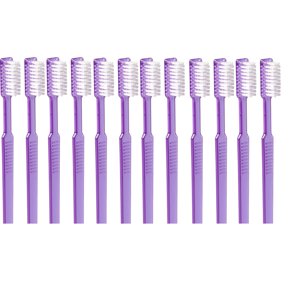 Disposable toothbrushes Color: VIOLET, Ready-to-use disposable toothbrushes with integrated paste, pack of 100