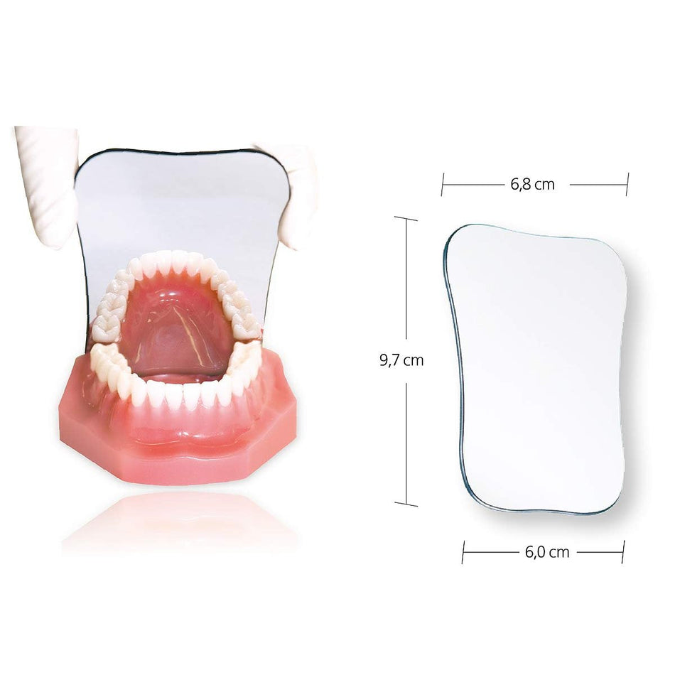 Chrome-coated photo mirror, occlusal adult