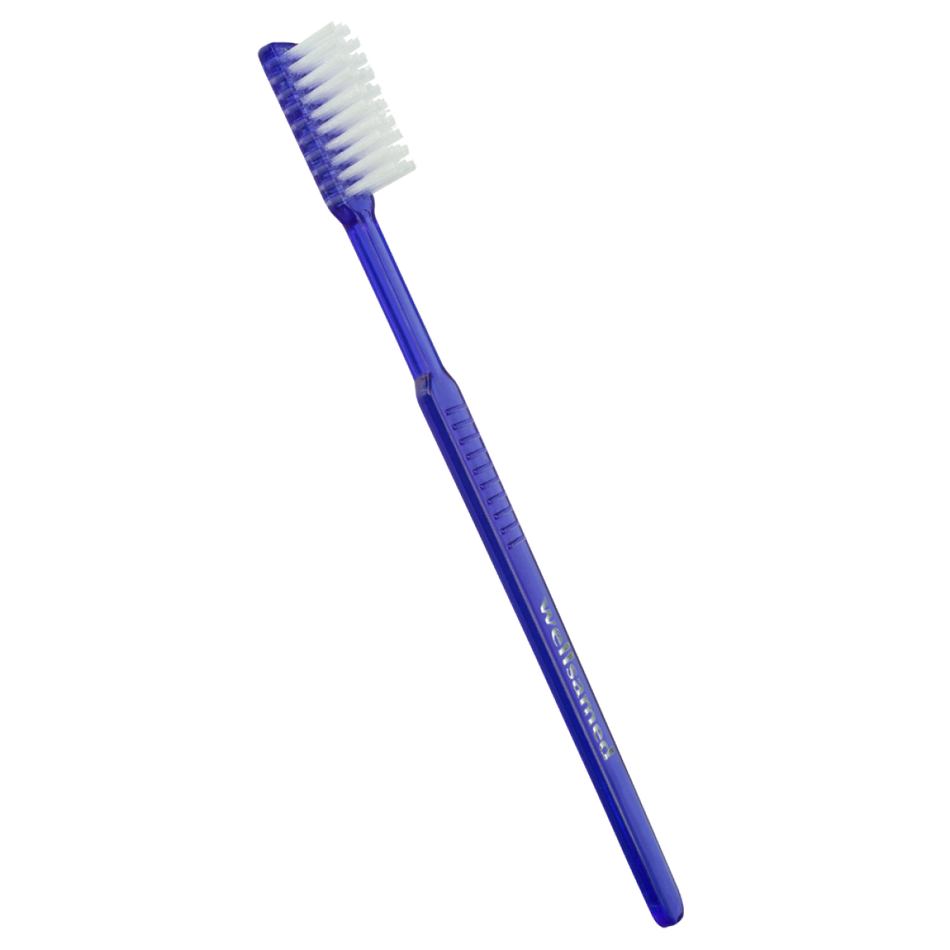 Wellsabrush Disposable Toothbrushes, 100 Pieces, Blue-Transparent